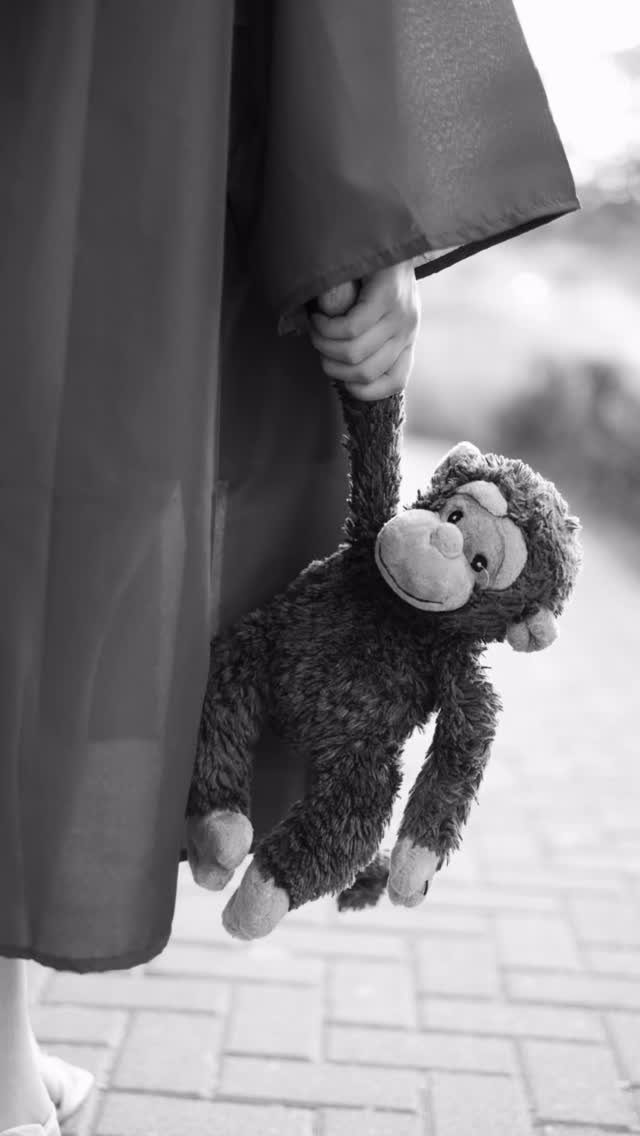 Graduation gown wearer holding a plush monkey toy by its arm on brick pavement