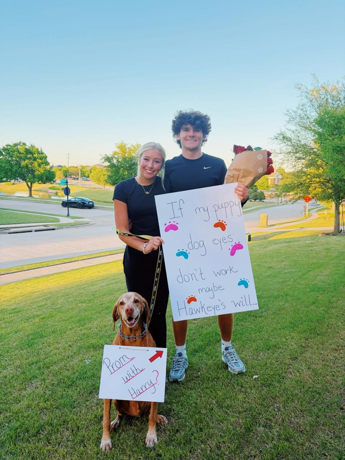 Teenage couple and a brown dog with a promposal sign on a lawn