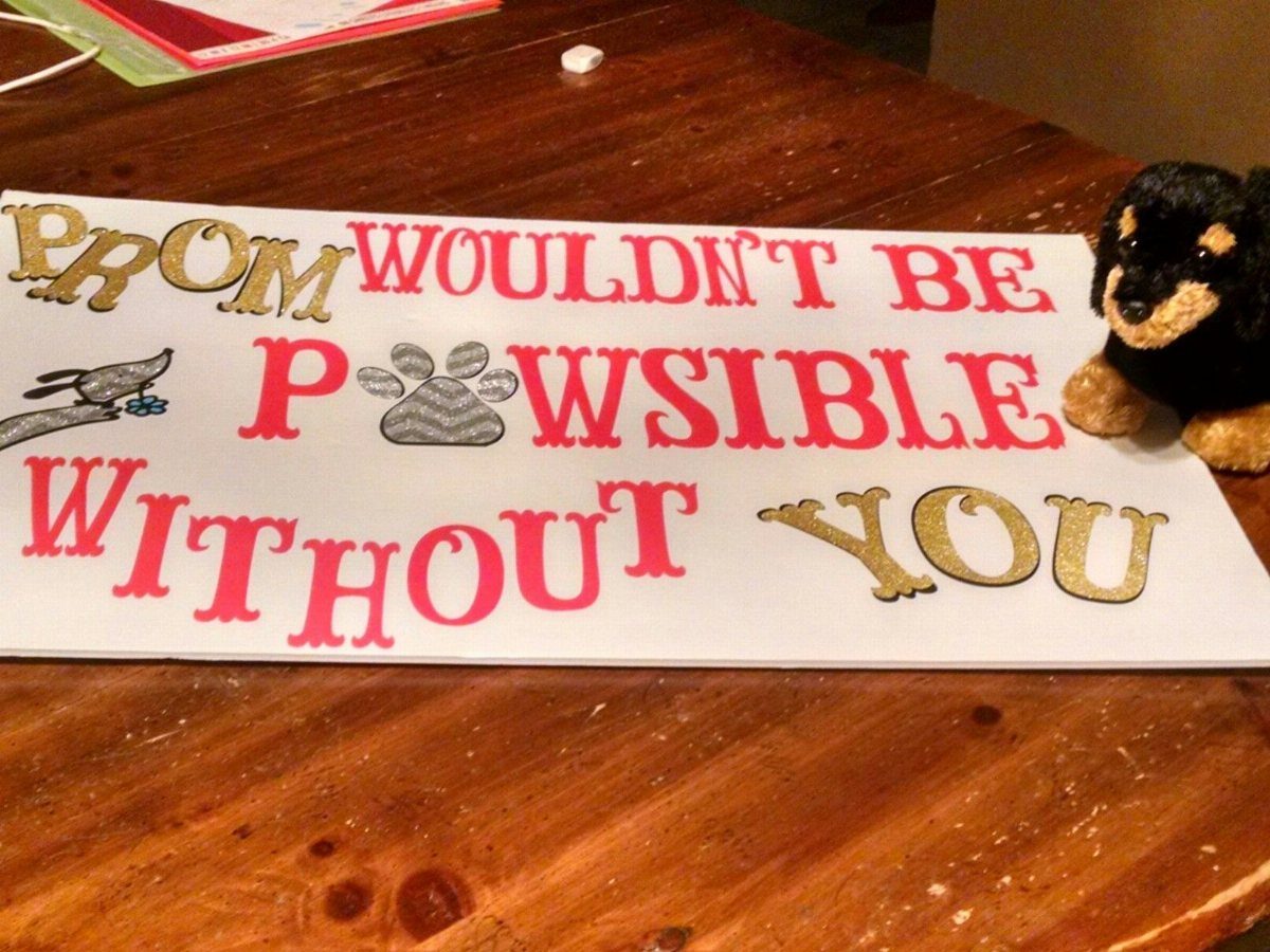 Small black and tan dog sitting next to a promposal poster with paw prints.
