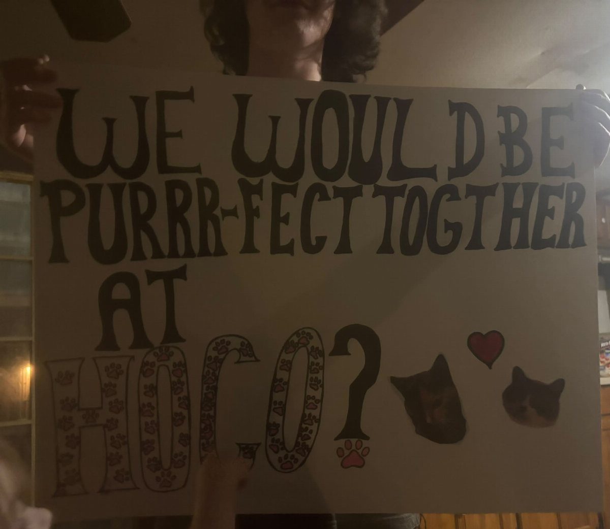 Handmade homecoming proposal poster with cat puns and photos held by a person.