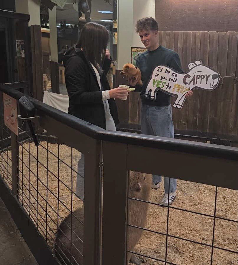 Teenage boy holding a capybara and a prom proposal sign for a girl.
