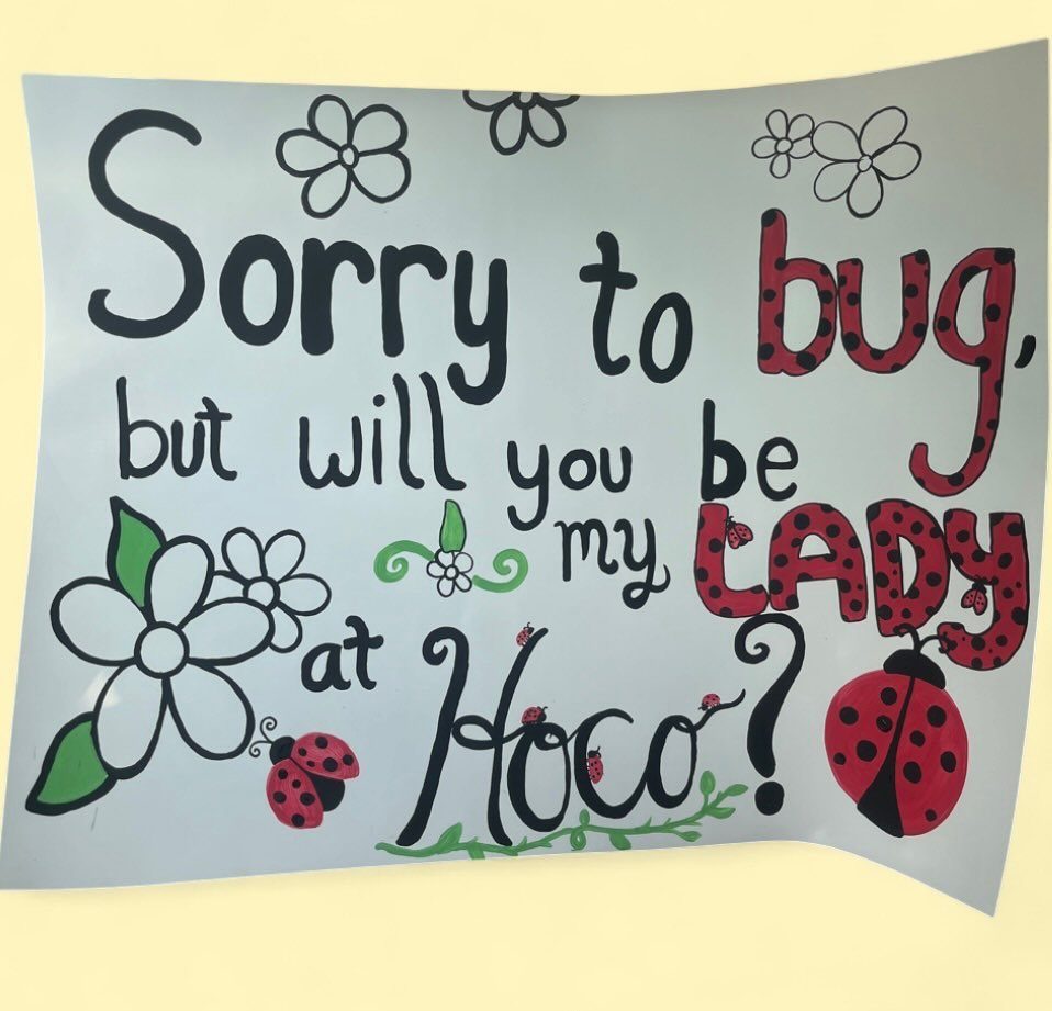 Hand-drawn hoco proposal poster with ladybugs and flowers on a white background