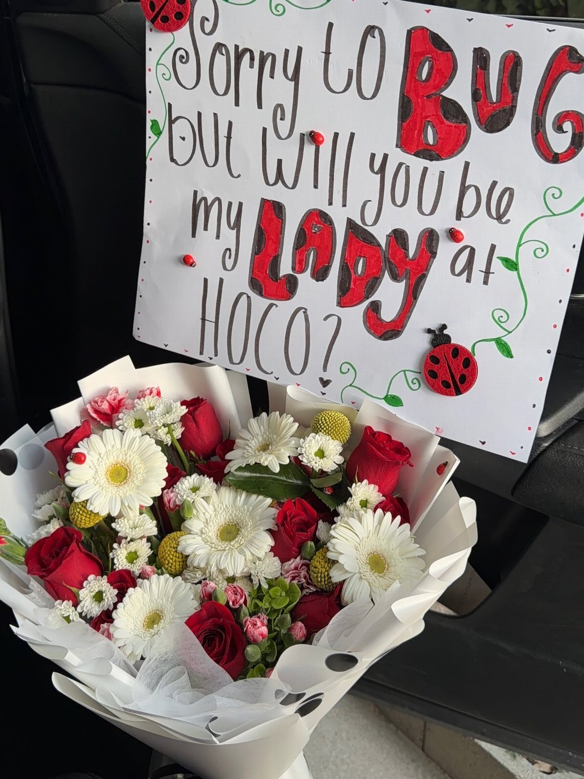 Handmade homecoming proposal poster with ladybugs and a bouquet of red and white flowers.