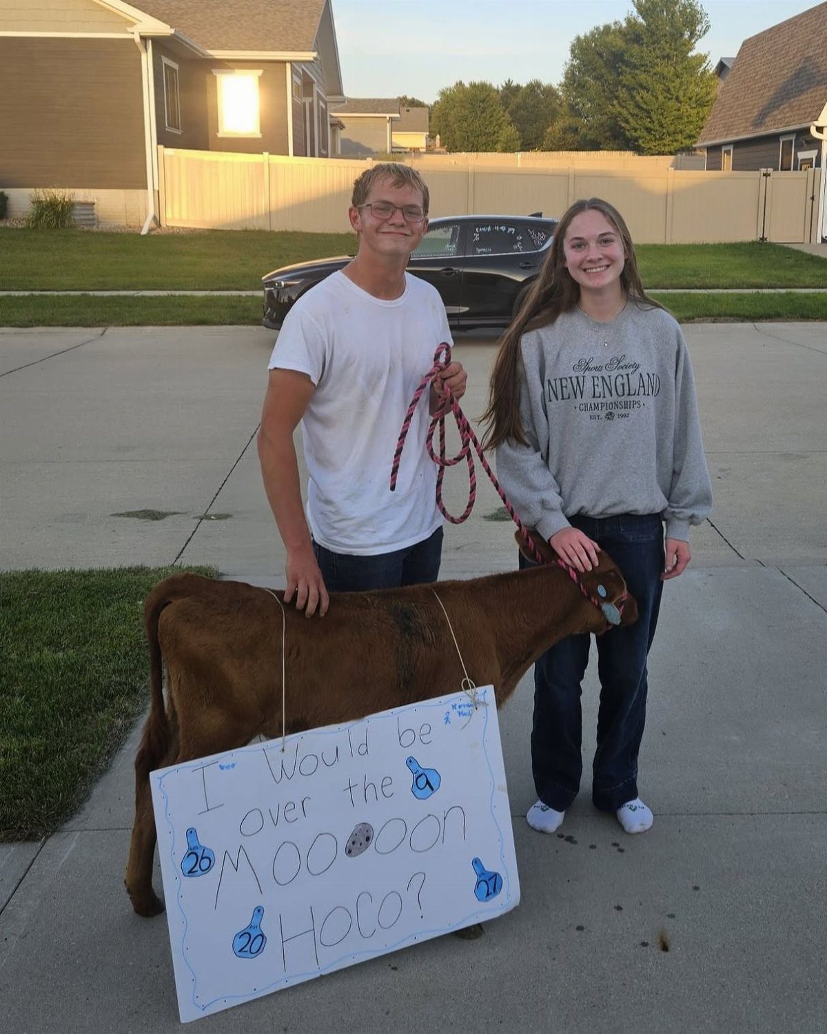 Teenage couple posing with a brown calf wearing a homecoming proposal sign.
