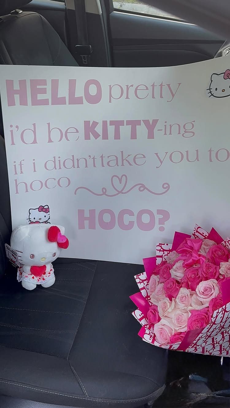 Homecoming proposal poster with Hello Kitty plush and pink rose bouquet in a car