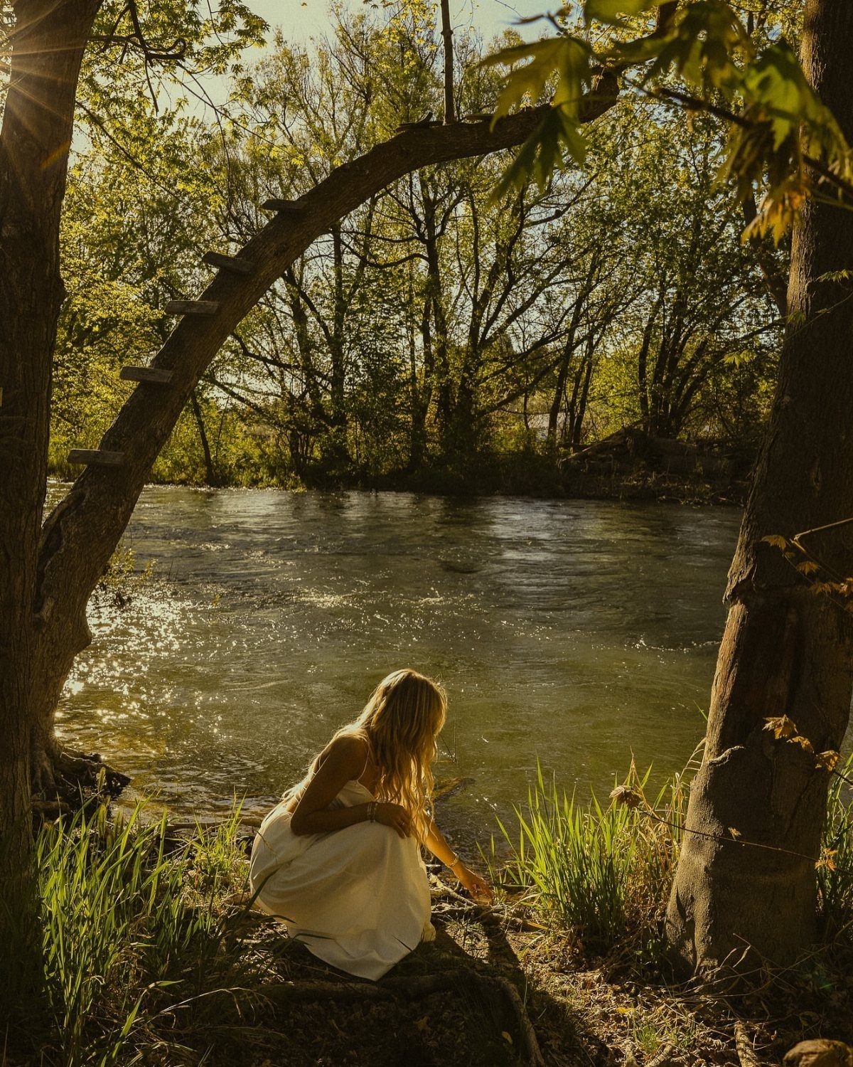 Woman in white dress crouching by a riverbank framed by trees and sunlight.