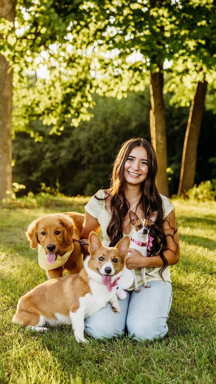 Young woman smiling while sitting on grass with three different breeds of dogs.