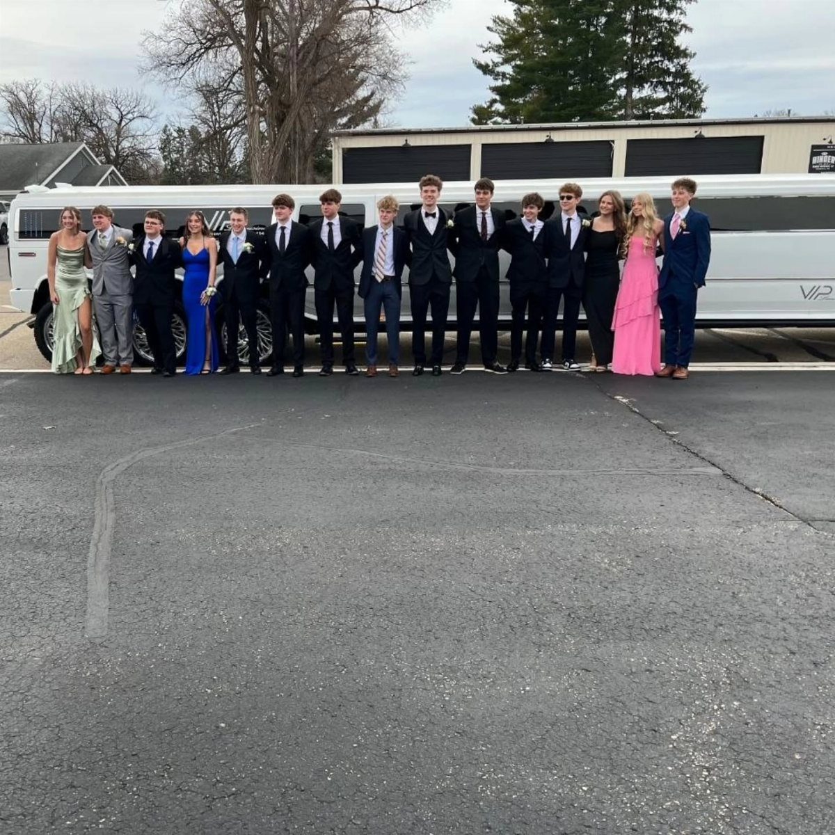 Teenagers in formal prom attire posing in a line before a white limousine.