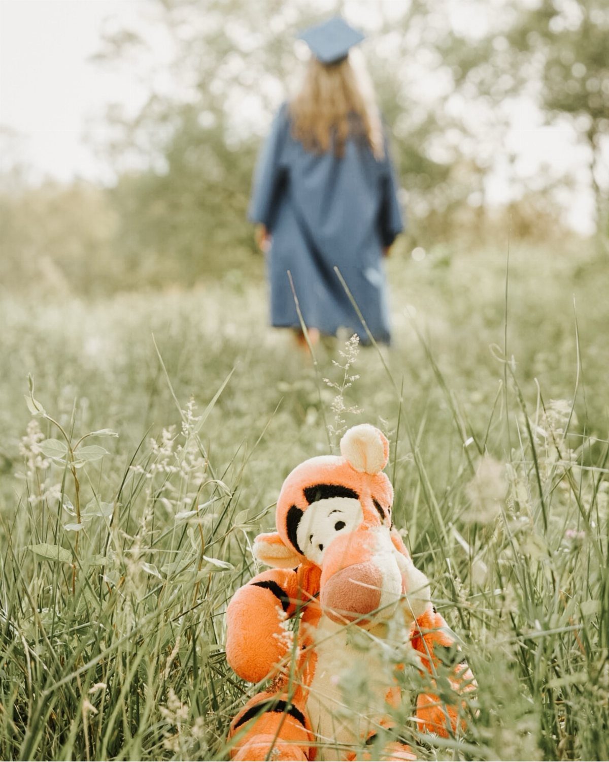 Plush tiger sitting in grass with a graduate in blue gown walking away